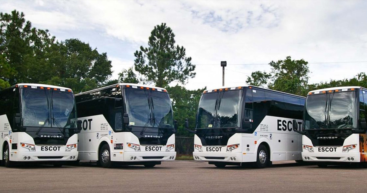 Tailored Charter Services for Every Need with ESCOT Bus Lines