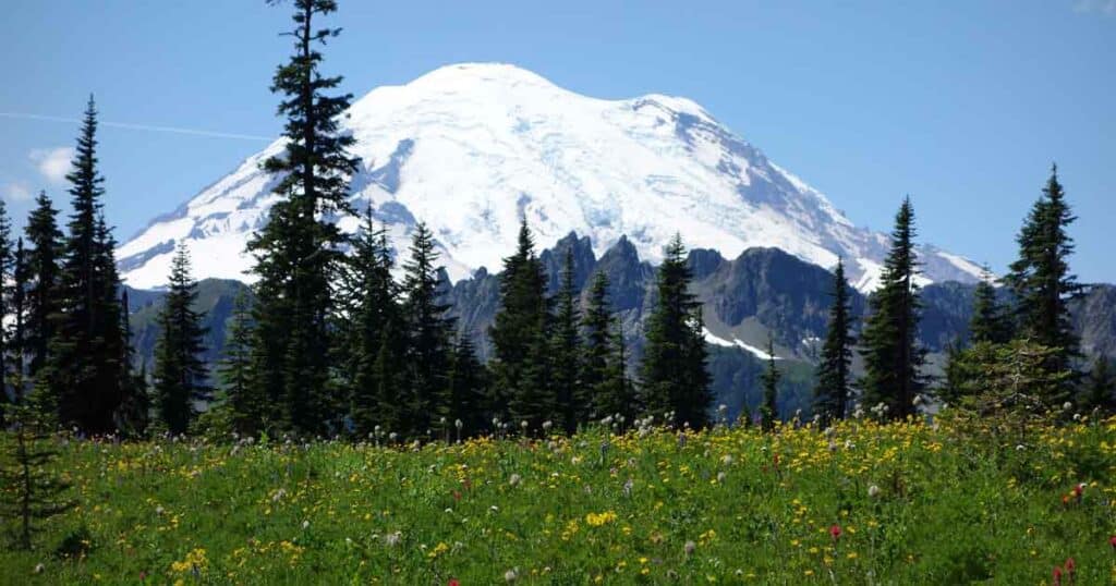 Mt. Rainier