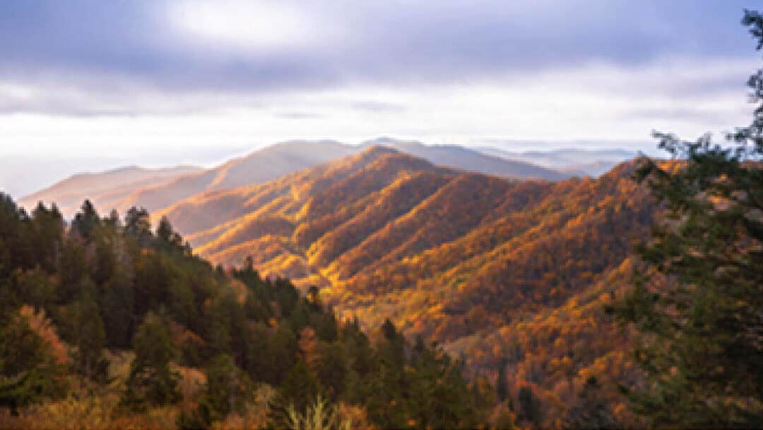 Top 5 Reasons to Visit Pigeon Forge and the Smoky Mountains