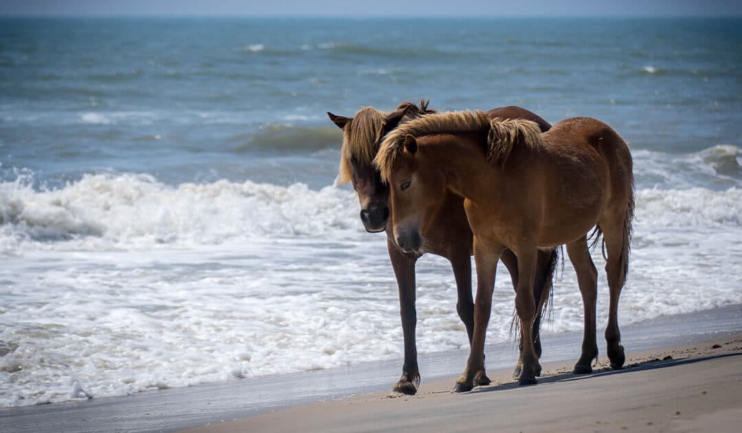 History on the Beach: Ocean City