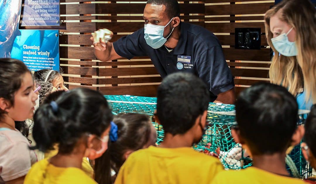 Learning Comes Alive at the New England Aquarium