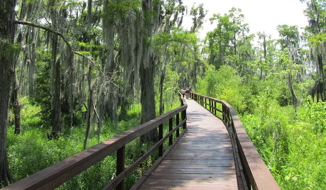 Beyond Bourbon Street: Jefferson Parish’s Unique Blend of Nature and Culture