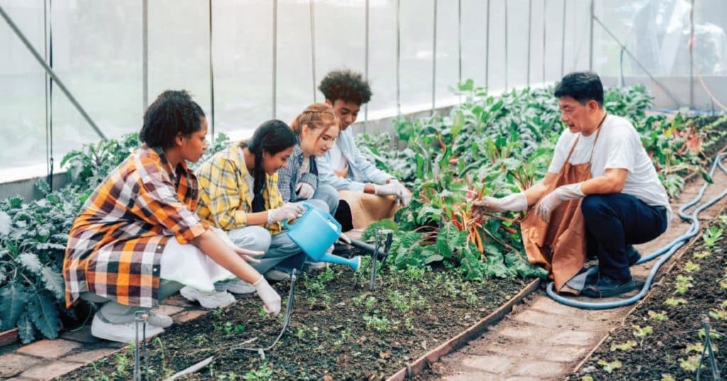 voluntourism