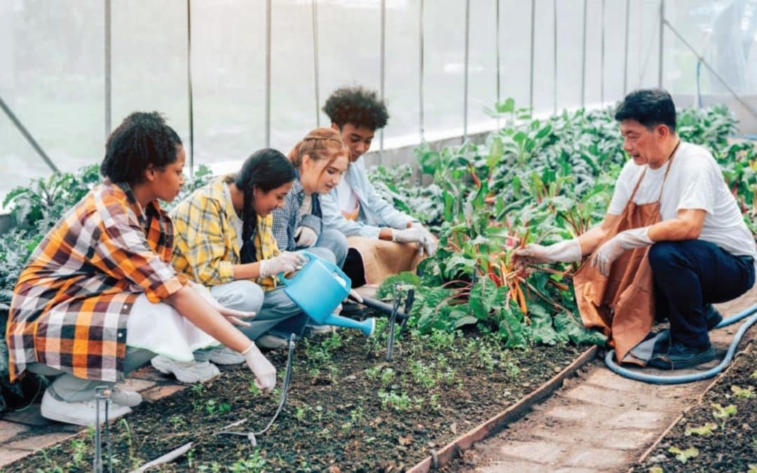 Travel With Purpose: How Voluntourism Enriches Student Experiences