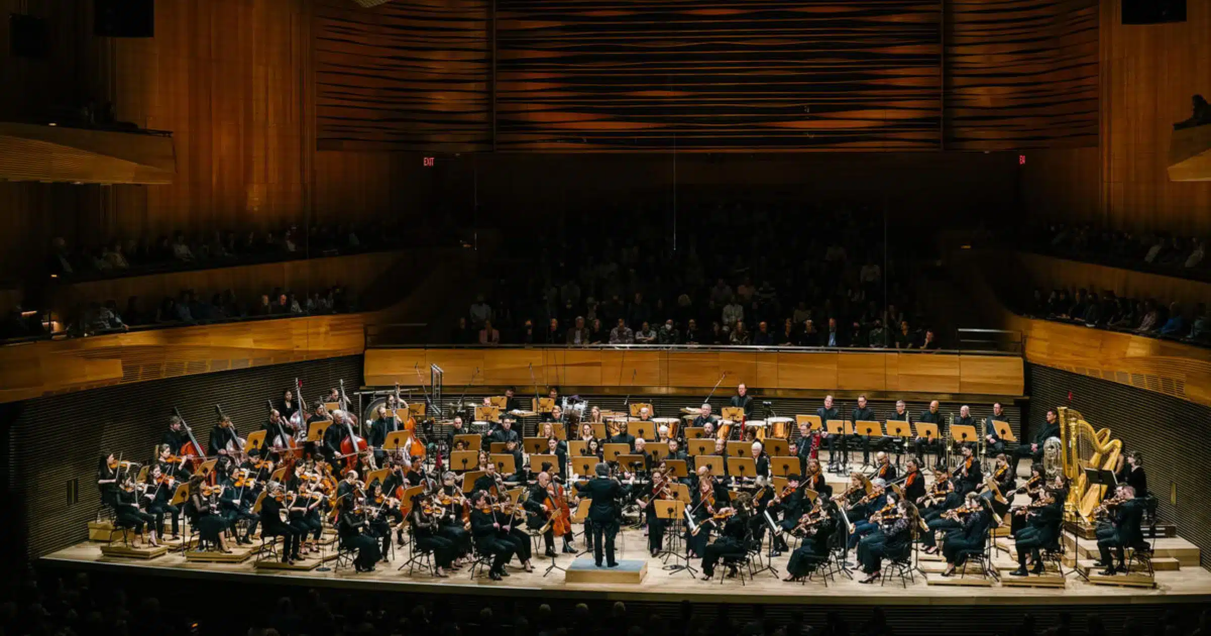Listen, Learn and Perform at The New York Philharmonic
