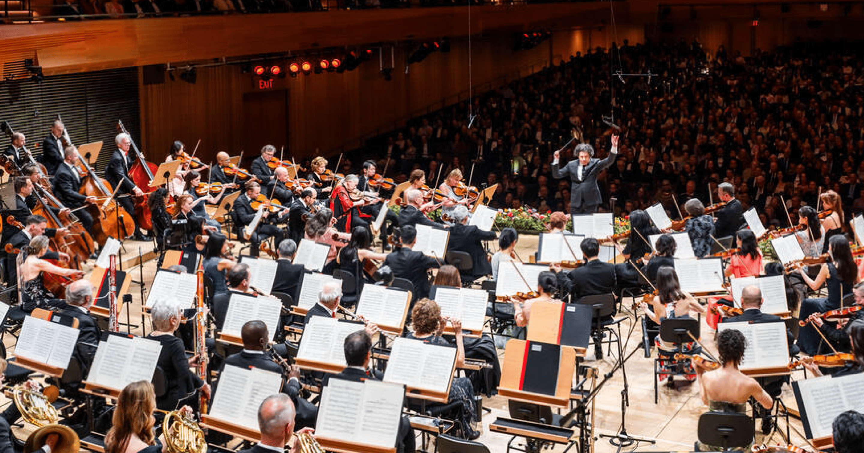 Go Beyond the Concert at the New York Philharmonic