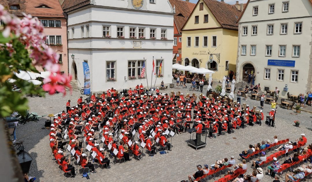 Ambassadors of Music: 15 Days to Change a Student’s Life