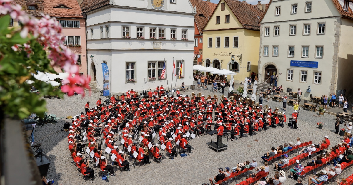 Ambassadors of Music: 15 Days to Change a Student’s Life