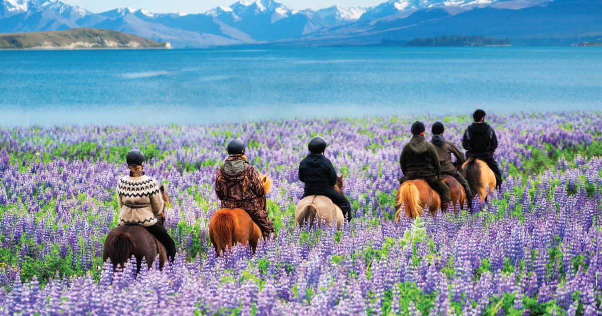 Fluxury Travel: Balancing Budget and Bucket Lists